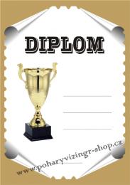 Diplom A4 D .42